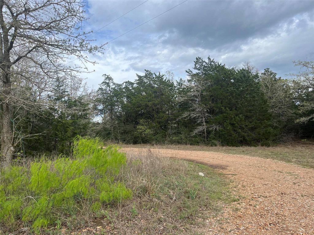 881 Antioch RD, Paige, TX 78659