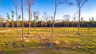 TBD 05 Johnson Drive, Livingston, TX 77351
