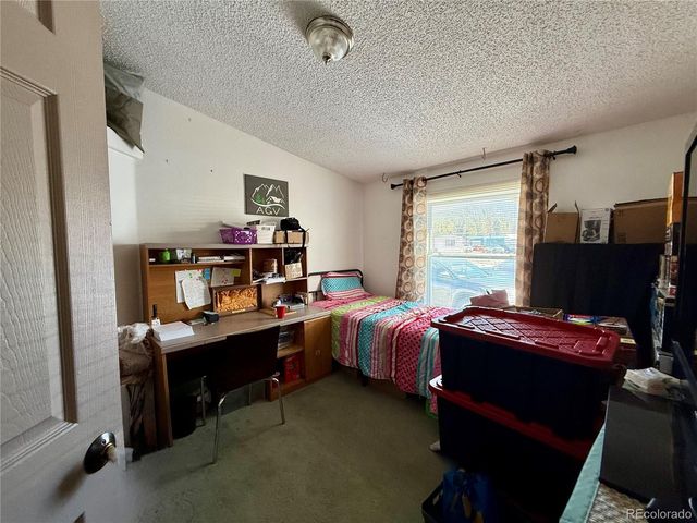 19773 US Highway 24, Leadville, CO 80461