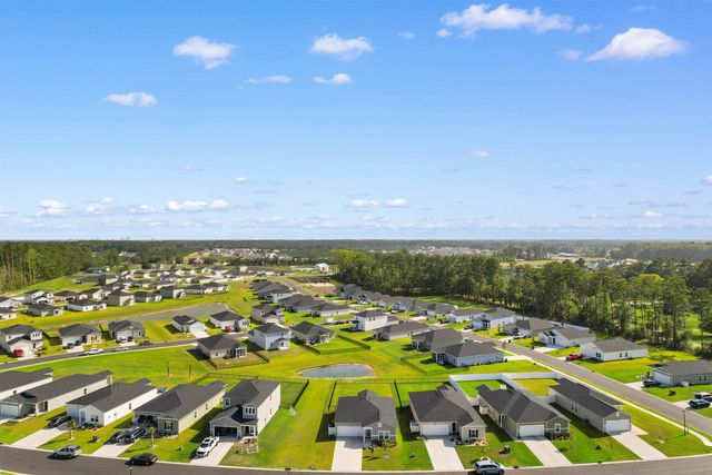 1334 Palm Springs Paloma Dr, Longs, SC 29568
