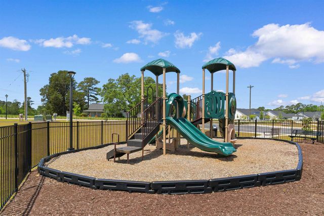 1334 Palm Springs Paloma Dr, Longs, SC 29568