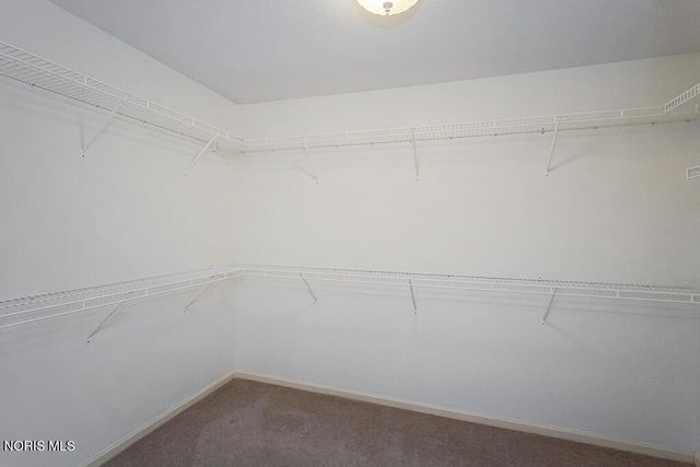 8647 Stone Oak Drive, Holland, OH 43528