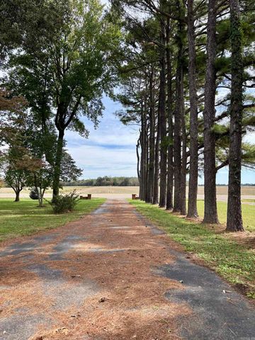 3399 Hwy 135, Corning, AR 72422