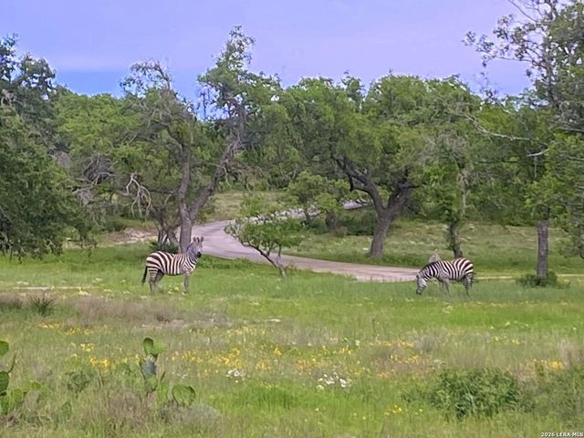 1134 Victoria, Spring Branch, TX 78070