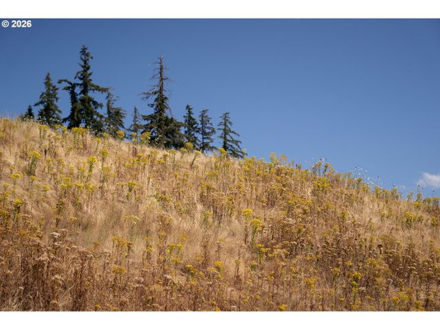 1794 Ne SHELL ROCK Dr, Estacada, OR 97023