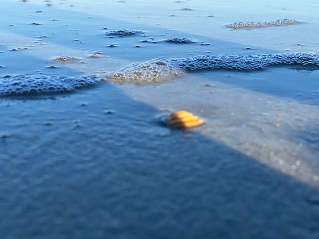 388 Linden Circle, Pawleys Island, SC 29585