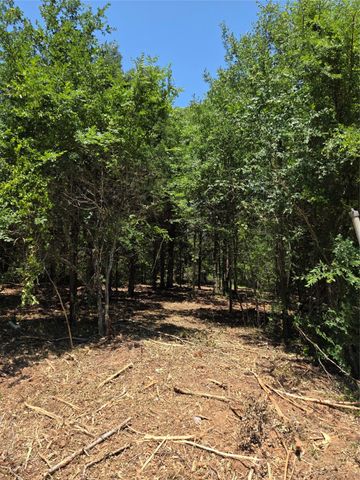 141 Eastern Hills Drive, Mabank, TX 75156