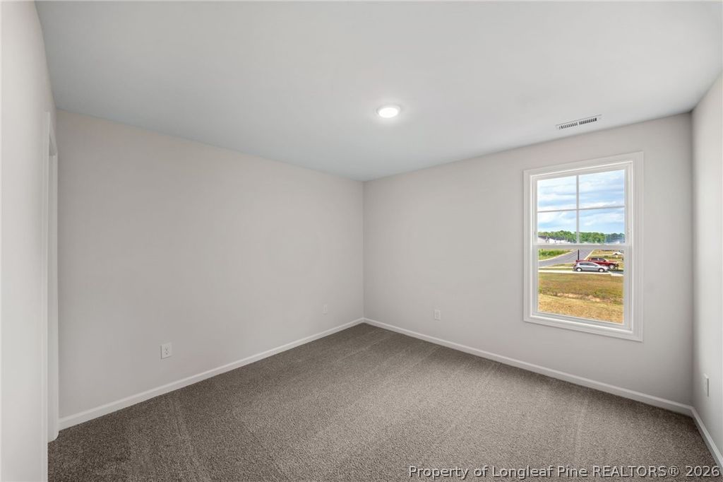 254 Traveller Way, Raeford, NC 28376 — photo 23