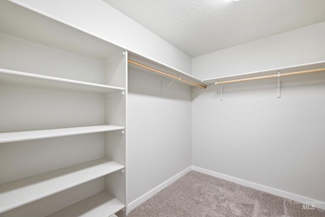1751 Gyrfalcon St, Middleton, ID 83644