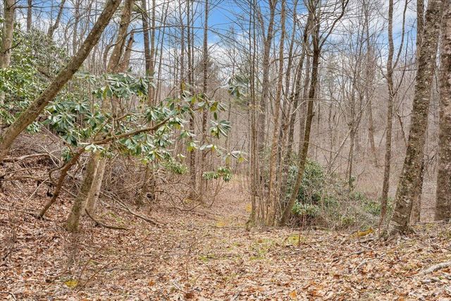9537-9539 Floyd Hwy, Copper Hill, VA 24079