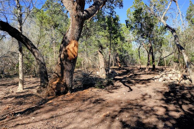 LOT A Ranch Rd 165 RD, Blanco, TX 78606