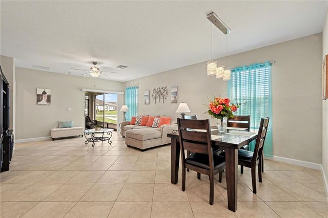 10231 ECHO DOCK LOOP, San Antonio, FL 33576