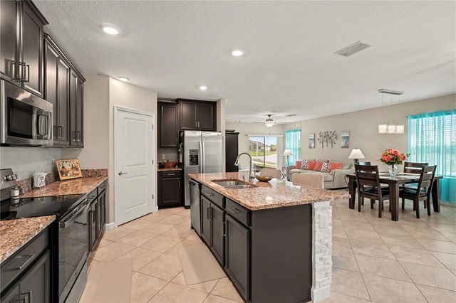 10231 ECHO DOCK LOOP, San Antonio, FL 33576