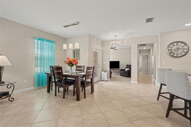 10231 ECHO DOCK LOOP, San Antonio, FL 33576