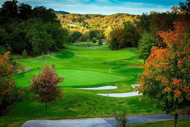 85 Birdie Lane Apt 1, Branson West, MO 65737