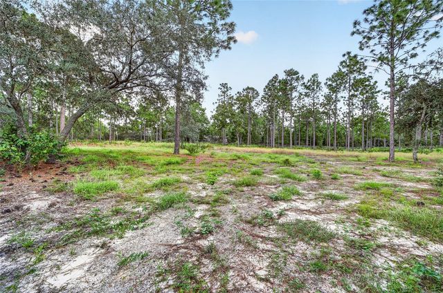 4295 N BRIDGER DRIVE, Beverly Hills, FL 34465