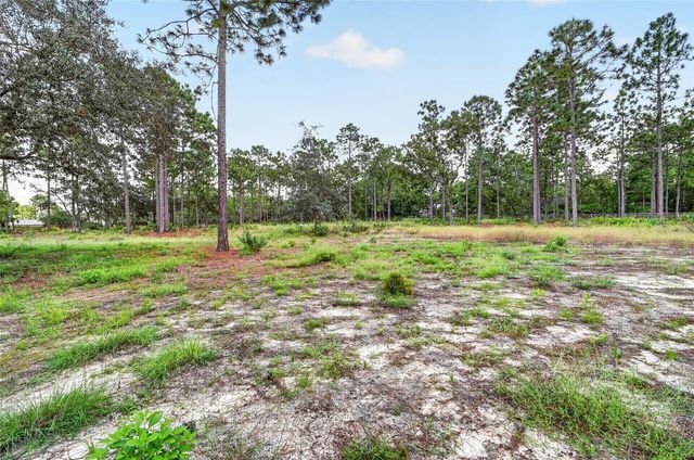 4295 N BRIDGER DRIVE, Beverly Hills, FL 34465