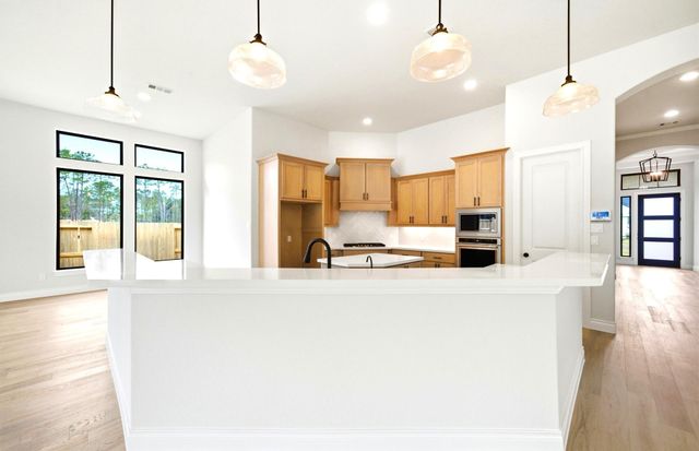 9722 Roaring River Falls Lane, Porter, TX 77365