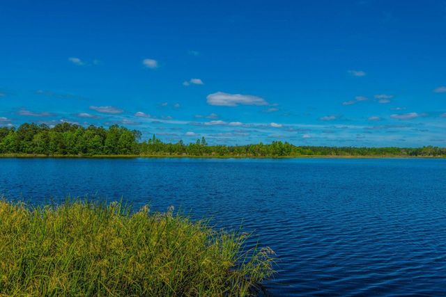 342 Fox Ridge Lane, Moncks Corner, SC 29461