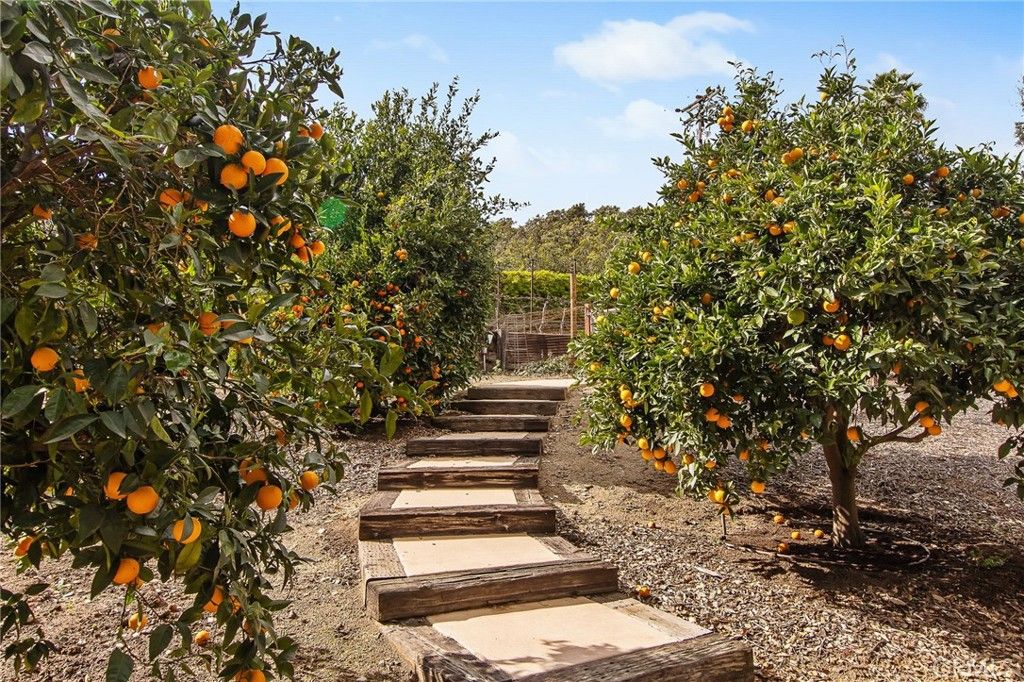 Image 61 of property listing at 3221 Integrity, Fallbrook, CA 92028