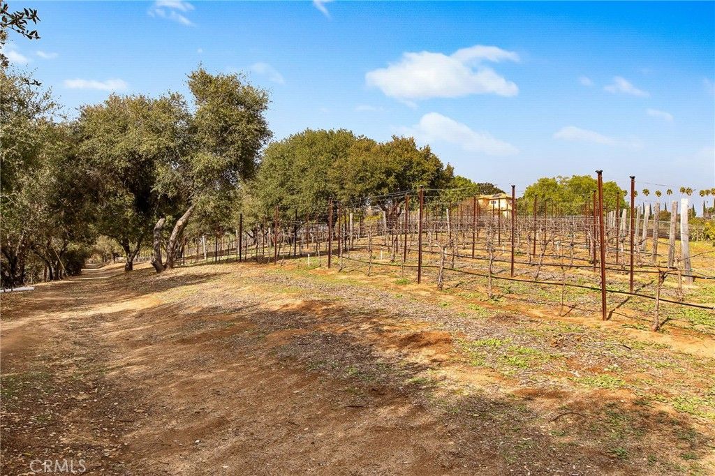 Image 71 of property listing at 3221 Integrity, Fallbrook, CA 92028