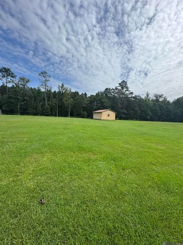 10605 Carol Lynn Rd, Denham Springs, LA 70726