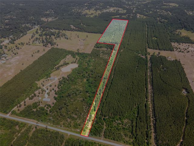 7443 County Road 302, Plantersville, TX 77363