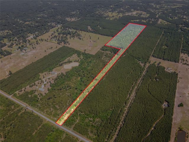 7443 County Road 302, Plantersville, TX 77363