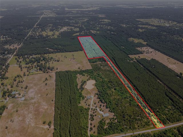 7443 County Road 302, Plantersville, TX 77363