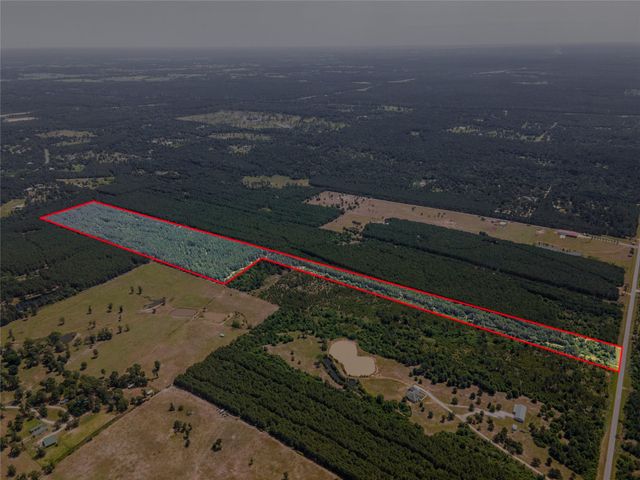 7443 County Road 302, Plantersville, TX 77363