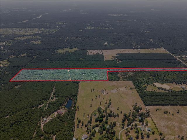 7443 County Road 302, Plantersville, TX 77363