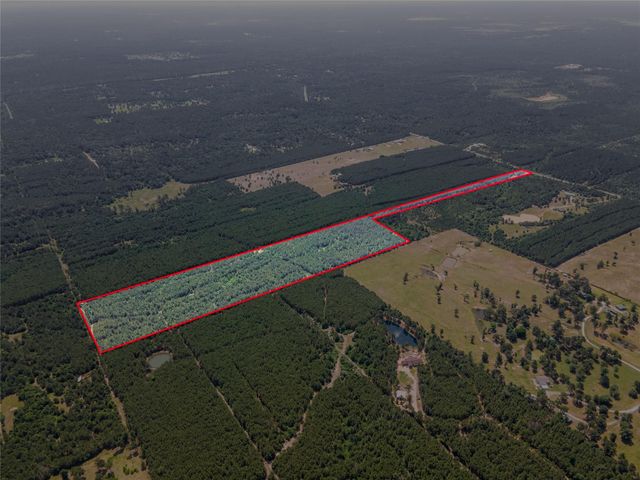 7443 County Road 302, Plantersville, TX 77363