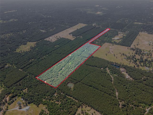7443 County Road 302, Plantersville, TX 77363