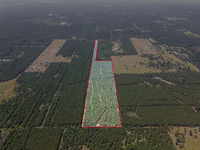 7443 County Road 302, Plantersville, TX 77363