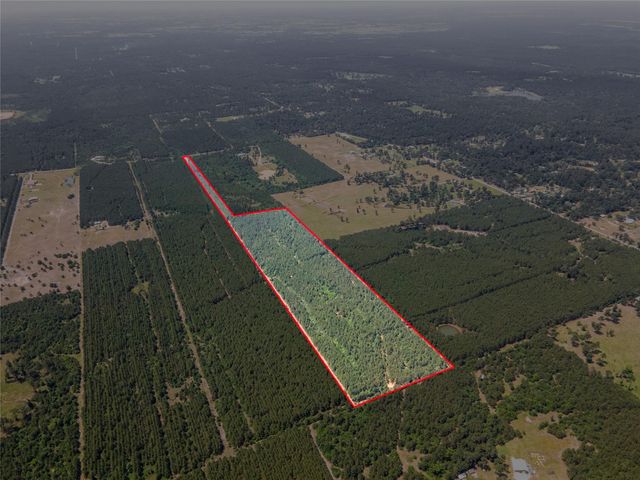 7443 County Road 302, Plantersville, TX 77363