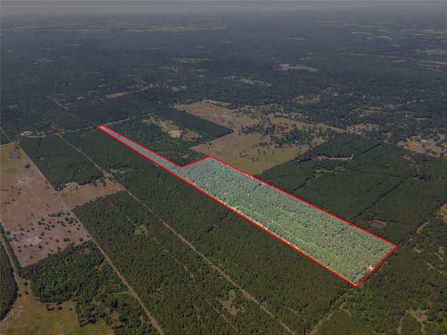 7443 County Road 302, Plantersville, TX 77363