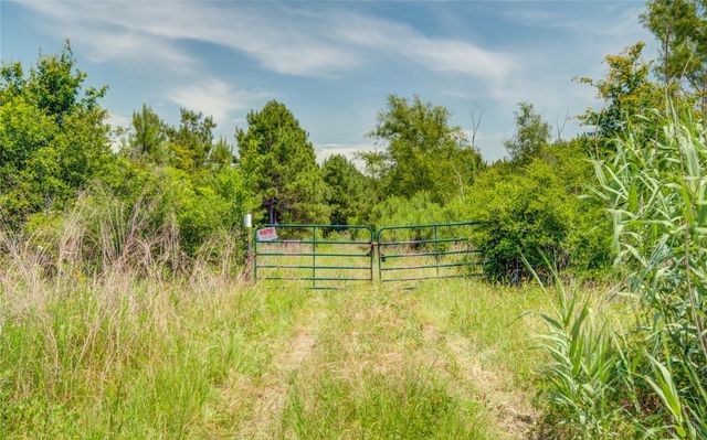 7443 County Road 302, Plantersville, TX 77363