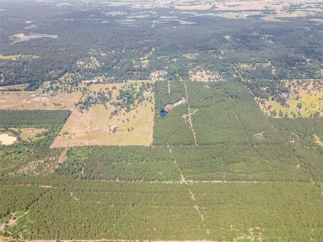 7443 County Road 302, Plantersville, TX 77363