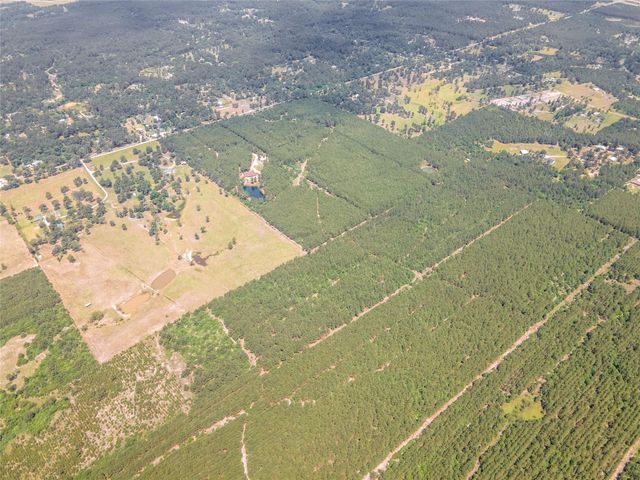 7443 County Road 302, Plantersville, TX 77363