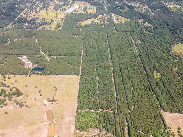 7443 County Road 302, Plantersville, TX 77363