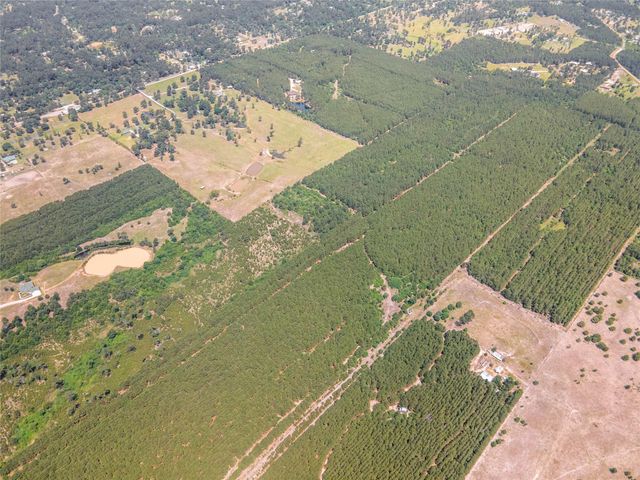 7443 County Road 302, Plantersville, TX 77363