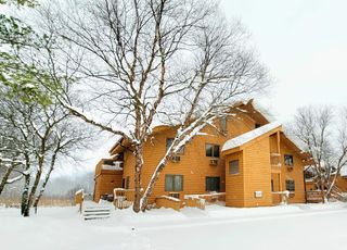 6658 Schuss Mountain Lane, Custer Twp, MI 49659