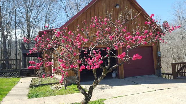 323 Spring Creek Rd, Westpoint, TN 38486