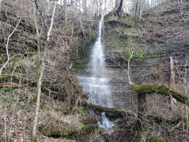 323 Spring Creek Rd, Westpoint, TN 38486