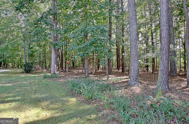 175 Donegal Drive, Tyrone, GA 30290