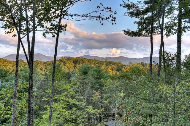 99 Dustin Drive S, Ellijay, GA 30540