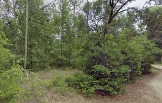 10013 N HOLYOAK TERRACE, Dunnellon, FL 34433