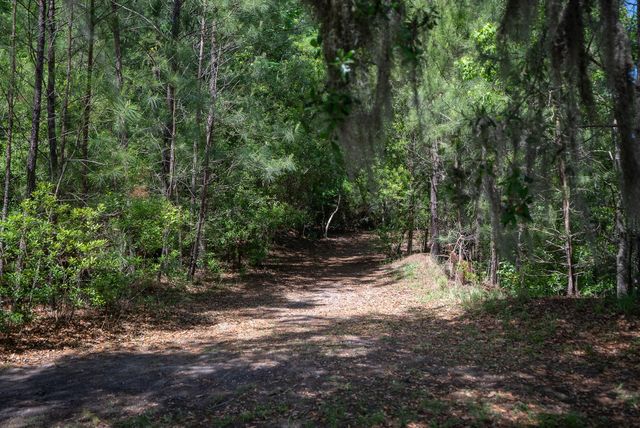 5060 Catfish Loop, Johns Island, SC 29455