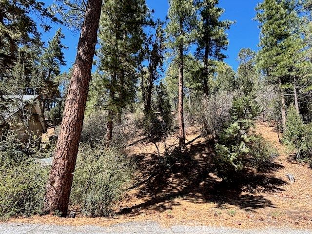 0 E Rainbow Boulevard, Big Bear City, CA 92314