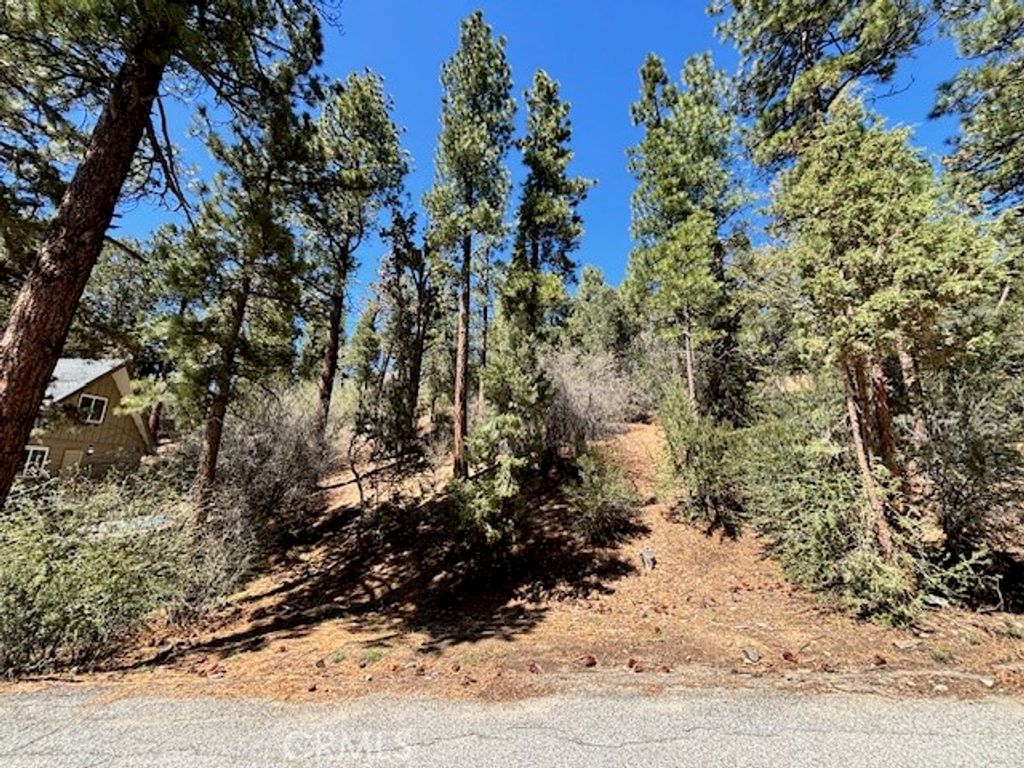 0 E Rainbow Boulevard, Big Bear City, CA 92314